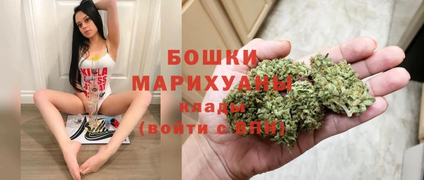 стафф Вяземский