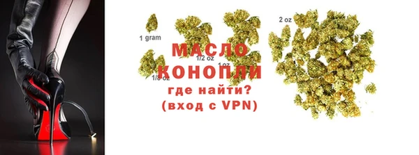 стафф Вяземский