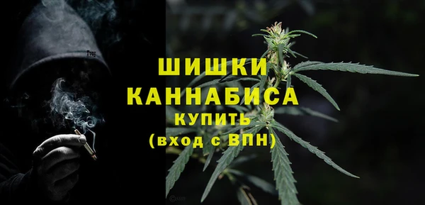 стафф Вяземский